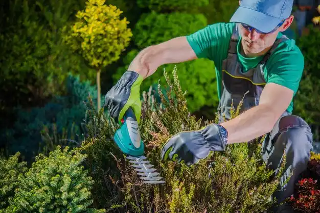 landscaping services St. Rose